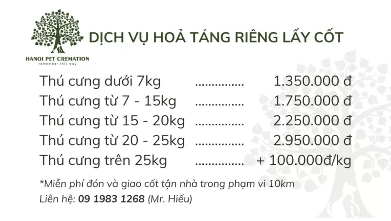Bảng Giá Tham Khảo